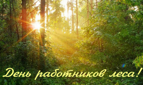 День работников леса -3-е воскресение сентября