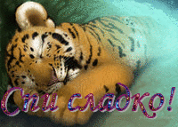 Тигрик спи сладко