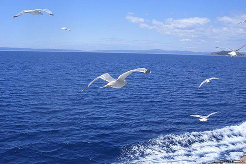 31 октября Международный день Черного моря