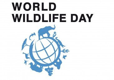 3 марта Всемирный день дикой природы