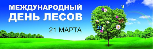 21 марта Международный день леса