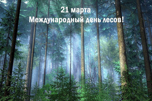 21 марта Международный день леса