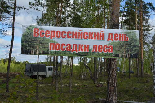 12 мая Всероссийский день посадки леса