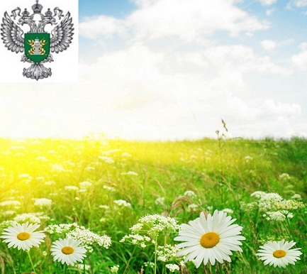 5 июня День карантина растений РФ