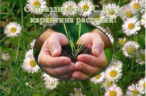 5 июня День карантина растений РФ