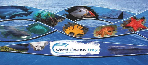 8 июня Всемирный день океана