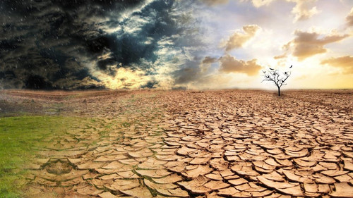 17 июня Всемирный день борьбы с засухой