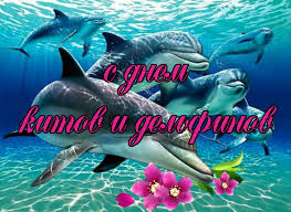 23 июля Всемирный день китов и дельфинов