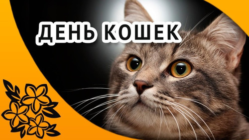 8 августа Всемирный день кошек