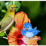 Птички с цветком