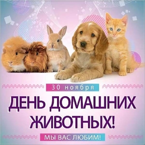 30 ноября Всемирный день домашних  животных