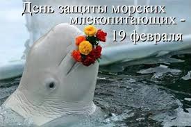 19 февраля Всемирный день защиты морских млекопитающих